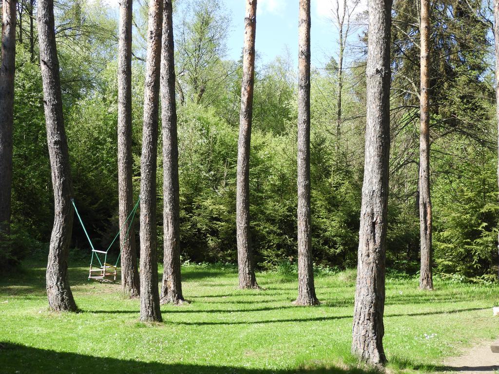 Chata Dasa High Tatras Mlynceky المظهر الخارجي الصورة