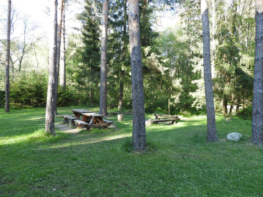 Chata Dasa High Tatras Mlynceky المظهر الخارجي الصورة